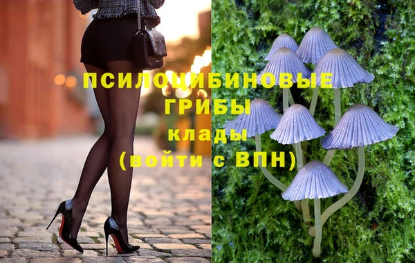 jwh Касимов