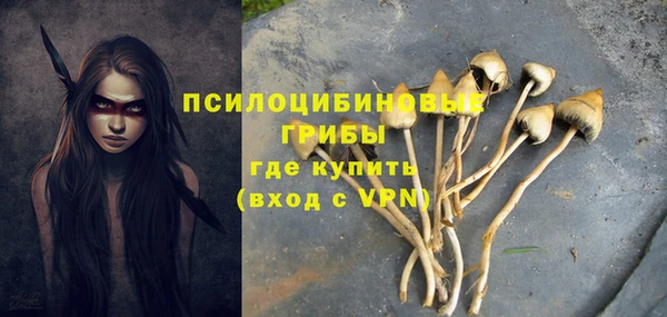 таблы Карпинск
