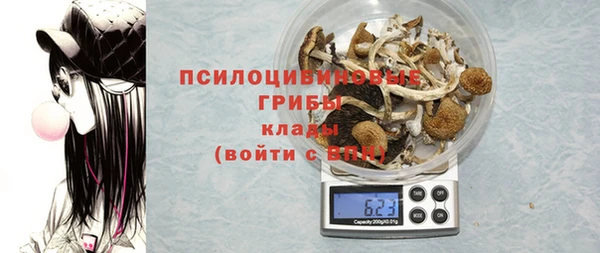 таблы Карпинск