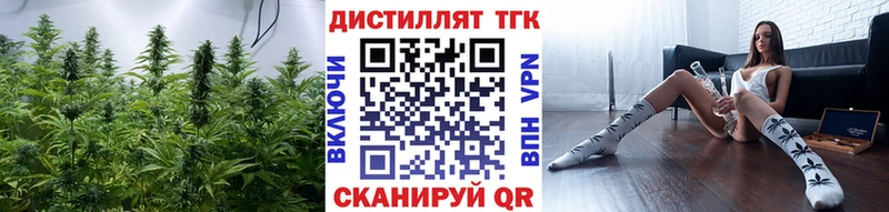 ТГК концентрат  Купить где  Велиж 