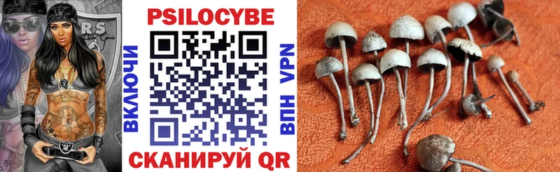 Галлюциногенные грибы GOLDEN TEACHER  Купить закладки  Велиж 